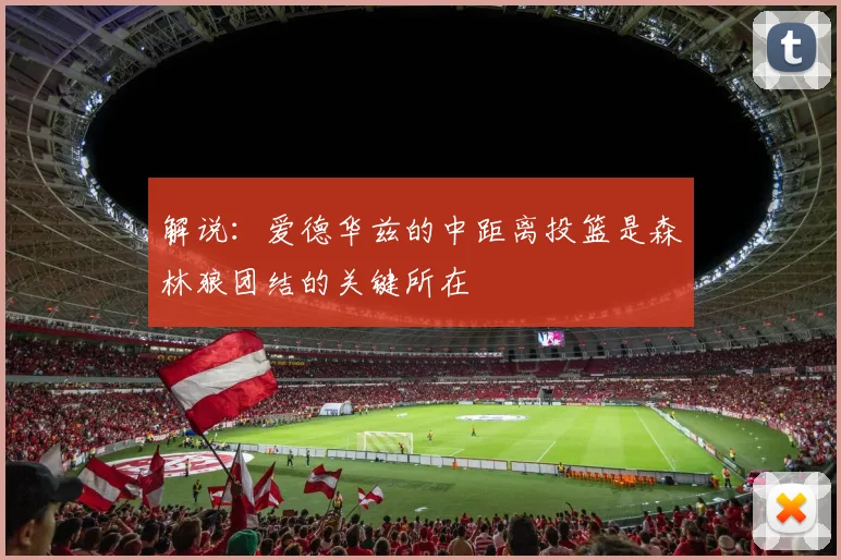 解说：爱德华兹的中距离投篮是森林狼团结的关键所在