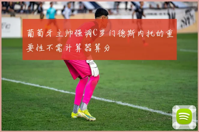 葡萄牙主帅强调C罗门德斯内托的重要性不需计算器算分