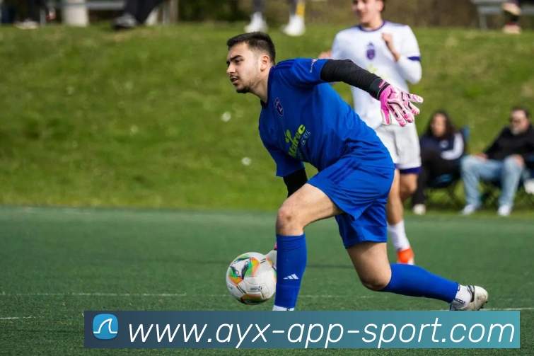 爱游戏平台生态图